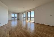 Dachgeschoss-Maisonette mit Klima, Fenster im Bad und Dachgarten Nähe U1 Hauptbahnhof Wien