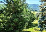 Einfamilienhaus in traumhafter Südhanglage am Waldrand mit 1.743 m² Grundstück & Panoramablick