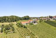 Rarität in der Südsteiermark mit Fernblick - Historisches Winzerhaus in Wielitsch-Ehrenhausen zu verkaufen - BESICHTIGUNGSTAG 17.Juli 2026 von 16 bis 18 Uhr!!!