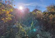 Entzückendes Einfamilienhaus mit Gartenoase in sonniger Lage