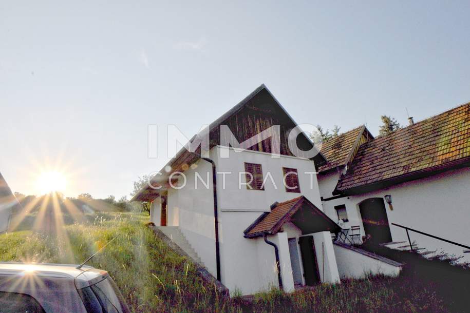 Weinstöckl mit Weinreben und ehemalige Landwirtschaft in ruhiger Ortsmitte - Sanierungsbedürftig, Haus-kauf, 227.980,€, 7521 Güssing