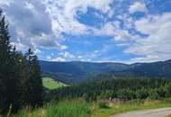 Grund zum Aufatmen auf der Hebalm (Provisionsfrei)