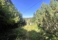 "Rarität in Mauerbach"