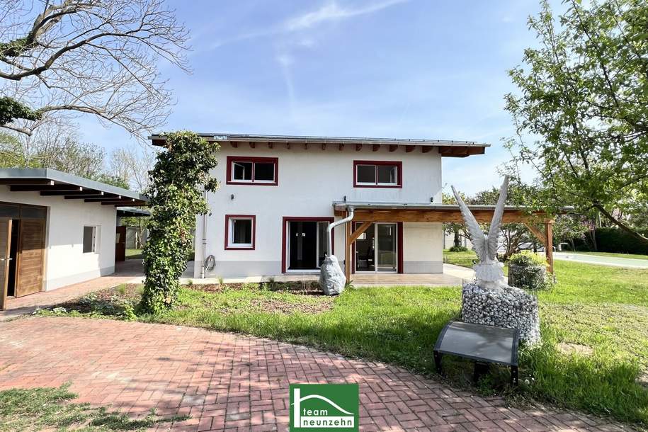 Low-energy house, very sacious with an additional office/practice or apartment of 70 m². Completely renovated in 2023., Haus-kauf, 698.000,€, 2301 Gänserndorf