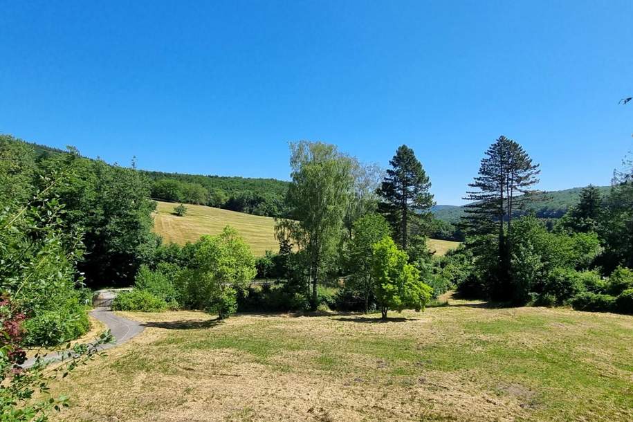 RARITÄT - IDYLLE PUR!! LANDHAUS MIT AUSBLICK IN SONNIGER RUHELAGE, Haus-kauf, 1.200.000,€, 3021 Sankt Pölten(Land)
