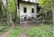 Waldgrundstück mit Altbestand in Amras