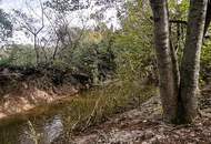 IDYLLISCHE LAGE MIT ZUGANG ZU BACHLAUF