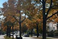 GRINZINGER RUHELAGE - BALKONMIETE