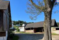 TIERLIEBHABER AUFGEPASST! GROSSARTIGE PFERDERANCH IN DER GRÜNEN STEIERMARK! Ihr Paradies auf dem Land: Charmanter Reiterhof in traumhafter Lage!