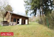 sonniges Grünland eingebetet neben Bach und Wald