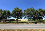 Großzügiges Baugrundstück 1487m² in 2126 Pürstendorf – Eigenheim nach Wunsch!