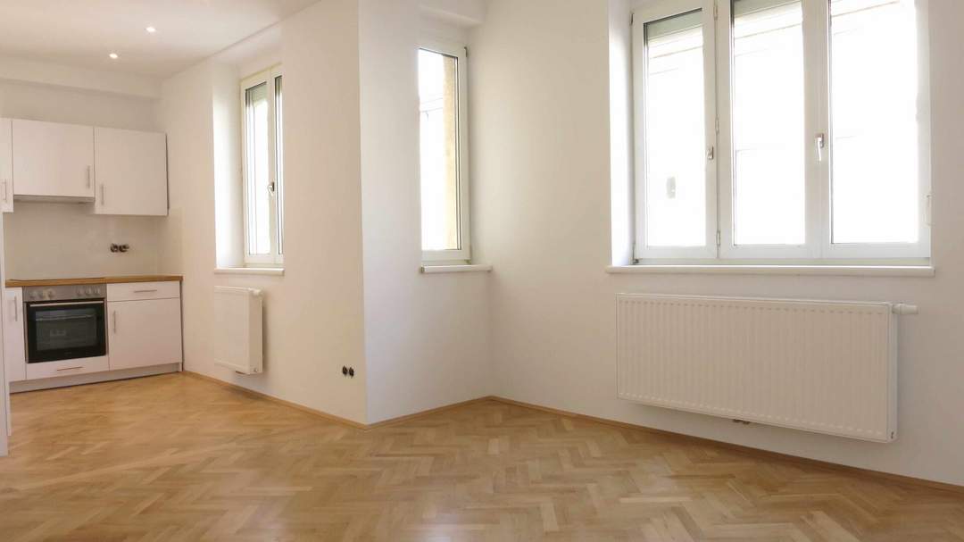 MODERNE HELLE MIETGARCONIERE NÄHE DONAUKANAL U6/U4 - unbefristet