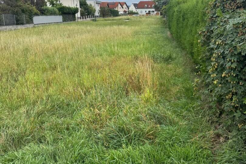 TOP ! KORNEUBURG - Grundstücke in verschiedenen Größen in schöner Siedlungslage !, Grund und Boden-kauf, 399.000,€, 2100 Korneuburg