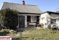 Ihr Rückzugsoase am Neufeldersee!