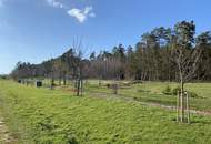 Provisionsfrei - Schönes Freizeitgrundstück mit Obstgarten