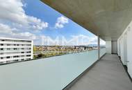 114,89qm 4ZI- PENTHOUSE 26,95qm Terrassen, 78qm Gründach, 28,01qm Balkon, zzgl. 2 Tiefgaragenstellplätzen
