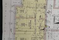 Sonnige Gartenwohnung in zentraler Lage von Wolkersdorf