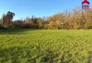Freizeitgrundstück in Gaweinstal – ruhige Grünlage mit viel Natur und Entwicklungspotenzial