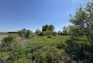 Außergewöhnliches Einfamilienhaus mit zwei Wohneinheiten, Garten und Gästehaus – am Ortsrand im Grünen und dennoch stadtnah