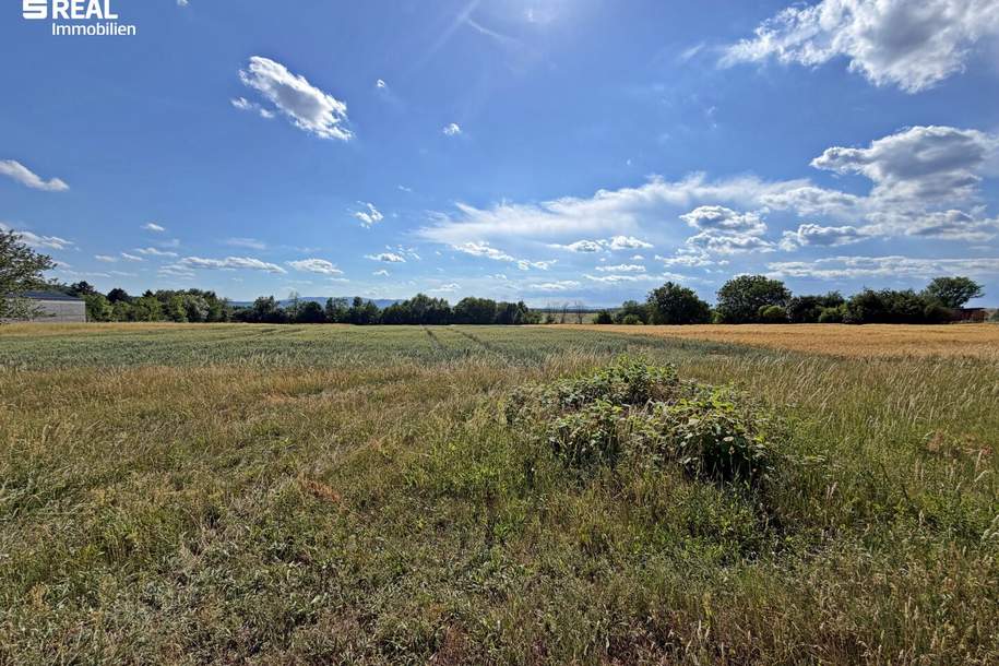 7361 Lutzmannsburg - Thermenregion Lutzmannsburg! Baugrundstück in Ortsrandlage, Grund und Boden-kauf, 67.000,€, 7361 Oberpullendorf