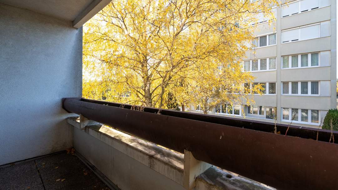 Renovierungsbedürftige 3-Zimmer-Wohnung mit Loggia in Leopoldsdorf – Ihr neues Zuhause!