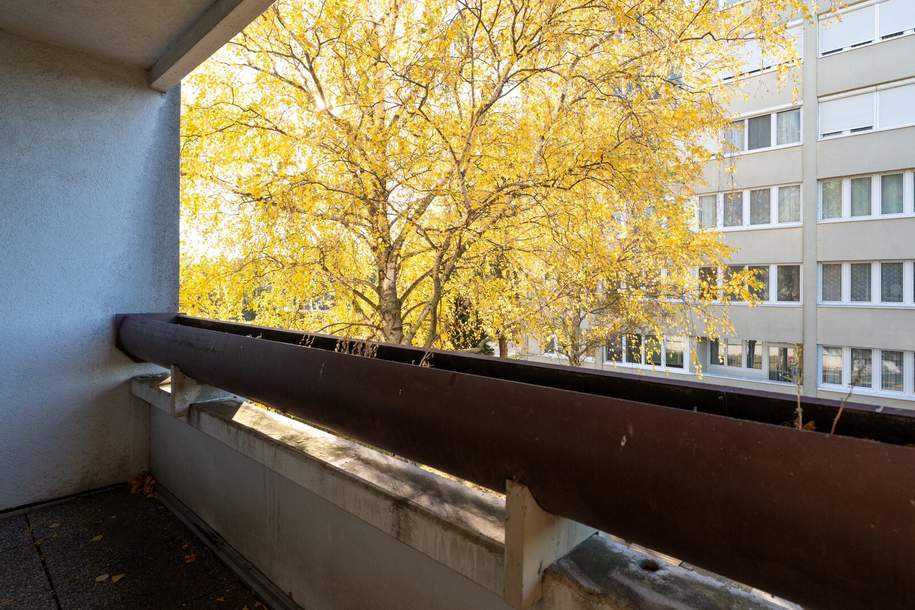 Renovierungsbedürftige 3-Zimmer-Wohnung mit Loggia in Leopoldsdorf – Ihr neues Zuhause!, Wohnung-kauf, 164.000,€, 2285 Gänserndorf