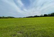 Modernes Einfamilienhaus mit großzügigen Glasfronten und wunderschöner Aussicht/Mietkauf Variante möglich/PROVISIONSFREI !!!