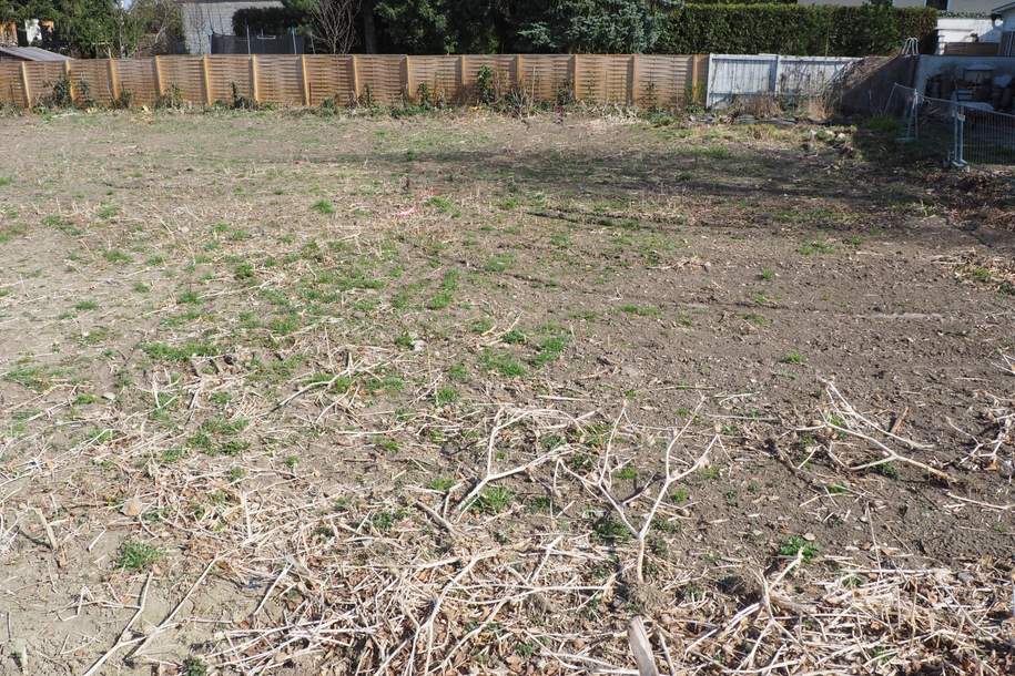 "Grund genug!", Grund und Boden-kauf, 234.000,€, 3433 Tulln