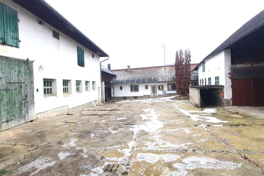 2014 Puch - Bauernhof für Wohnen und Gewerbe - 30 min von Wien !, Haus-kauf, 198.000,€, 2020 Hollabrunn