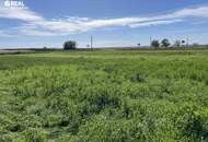 Exklusives Grundstück - Grüner Ausblick bis zum Neusiedlersee