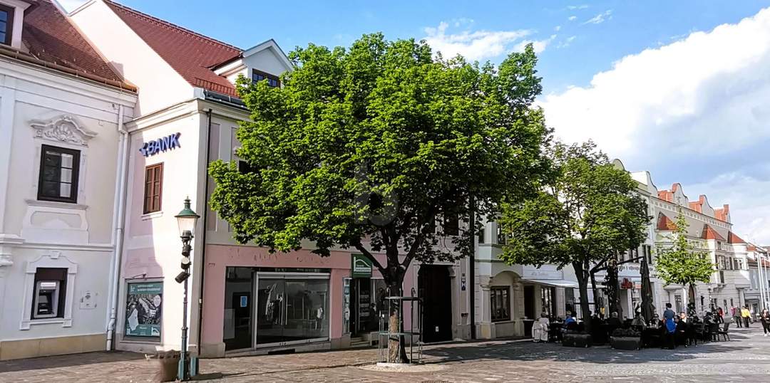 ELEGANTES GESCHÄFTSLOKAL - SOFORTÜBERNAHME - FREQUENZLAGE