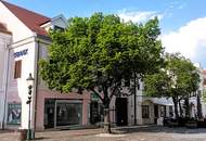 ELEGANTES GESCHÄFTSLOKAL - SOFORTÜBERNAHME - FREQUENZLAGE