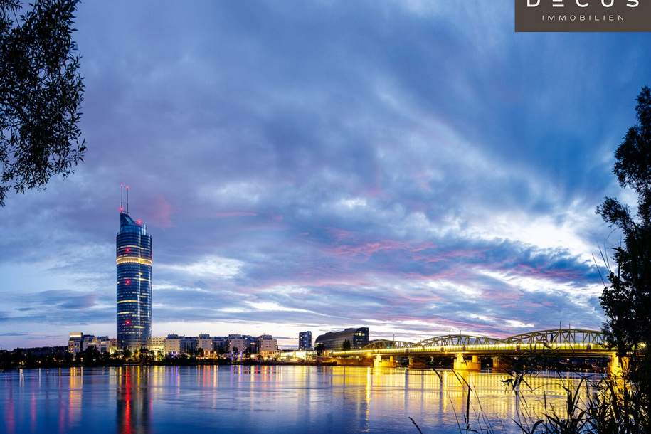 + + + MILLENNIUM TOWER + + + Erstklassige Büros mit Ausblick + + +, Gewerbeobjekt-miete, 5.312,50,€, 1200 Wien 20., Brigittenau