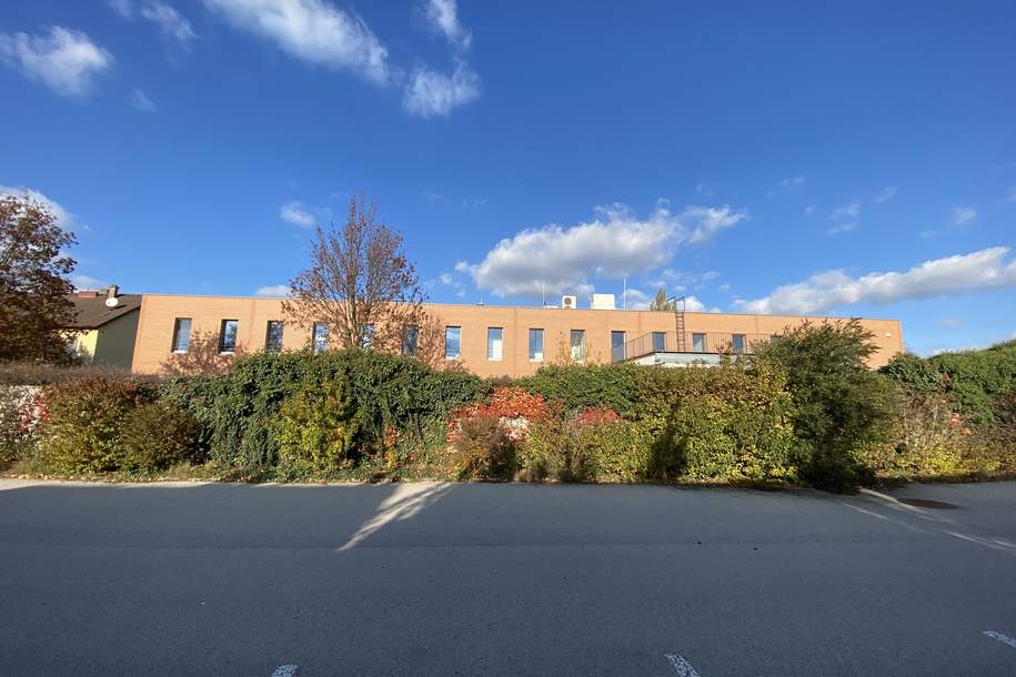 Großes Büro für 50 - 60 Mitarbeiter!, Gewerbeobjekt-miete, 13.560,00,€, 2332 Mödling