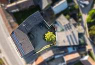 Wohnen &amp; Arbeiten unter einem Dach – Viel Platz in Bernhardsthal