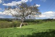 FRISCH SANIERT ... Einfach mal tief Luft holen und genießen…. Liebhaberobjekt mit ca. 2,6 ha arrondiertem Grund