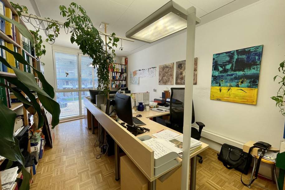 Vermietete 2-Zimmer-Wohnung mit Tiefgaragen-Stellplatz und Balkon in zentraler Lage in Jakomini!, Wohnung-kauf, 198.000,€, 8010 Graz(Stadt)
