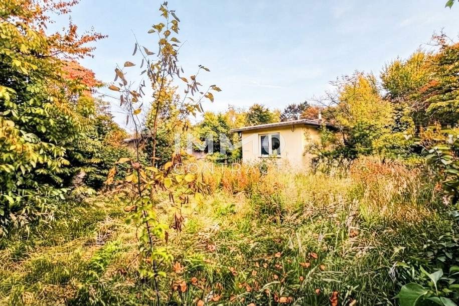 Gelegenheit! Platz für Wohnträume – großes, erschlossenes Grundstück mit Altbestand - für Familie oder Projektbau, Grund und Boden-kauf, 420.000,€, 2603 Wiener Neustadt(Land)