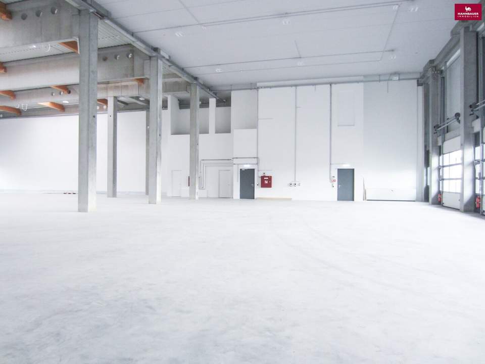 Lagerhalle 860 m2 + Büro 340 m2 Kombination südlich von Wien in Wr. Neudorf