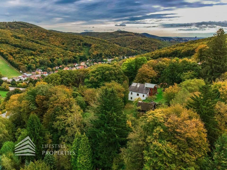 Exklusives Waldgrundstück in Döbling, Nähe Krapfenwaldbad