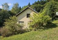 Bauernhof samt Auszugshaus (Sternchenbau) mit land- und forstwirtschaftl. Grund in idyllischer Alleinlage