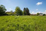 SONNIGER BAUGRUND - Viel Platz für Ihr Traumhaus!