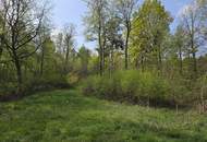 Naturjuwel im Südburgenland