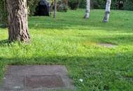 Wenn Sie die Natur vor dem Fenster möchten und trotzdem nicht auf alle Annehmlichkeiten einer Stadt verzichten wollen, sind Sie hier genau richtig!!