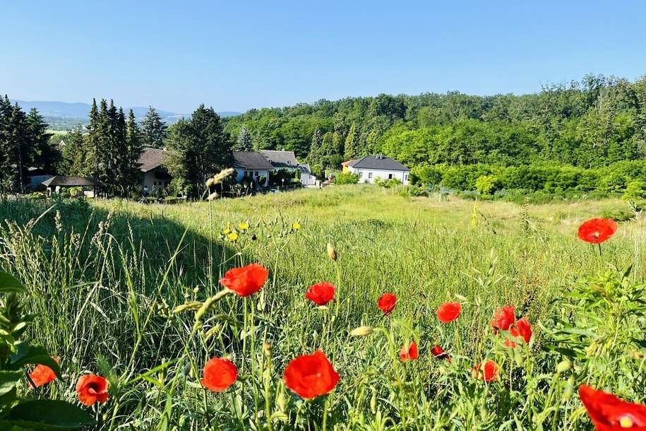 Baugrundstück(e) in absoluter Bestlage von LEOBENDORF - BURG KREUZENSTEIN, Grund und Boden-kauf, 370.300,€, 2100 Korneuburg