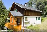 CHARMANTES SALZKAMMERGUT-HAUS