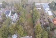 Wo die Seele ihr Zuhause findet: Ein Kunstwerk zwischen Wald und Wien