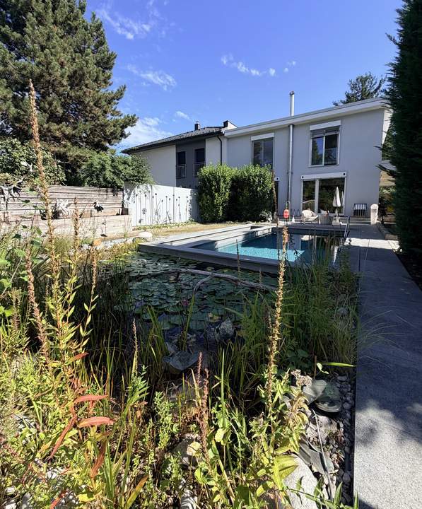 Traumhaus mit Pool