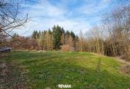Wald und Wiese