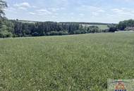 Landwirtschaftliche Flächen in der Nähe von Neuberg im Burgenland!